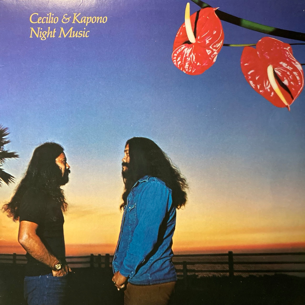 Cecilio & Kapono - Night Music