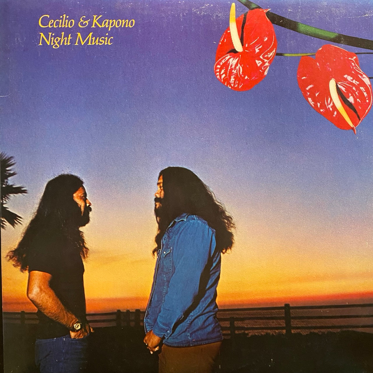 Cecilio & Kapono – Night Music