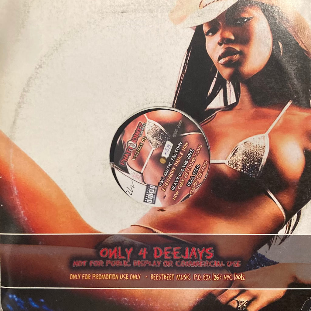 V/A - Phatt Jointz Classix Volume 02