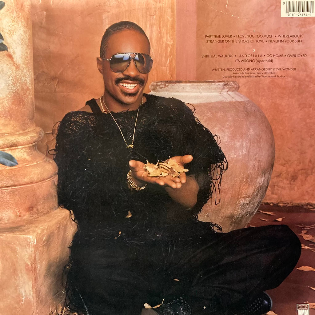 Stevie Wonder - In Square Circle