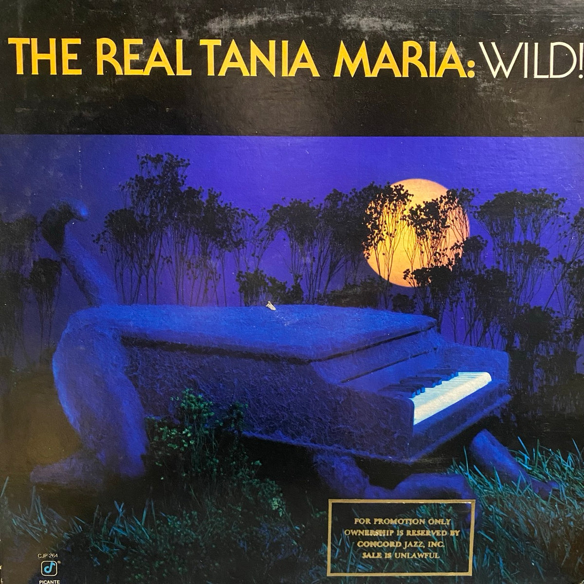 Tania Maria – The Real Tania Maria: Wild!