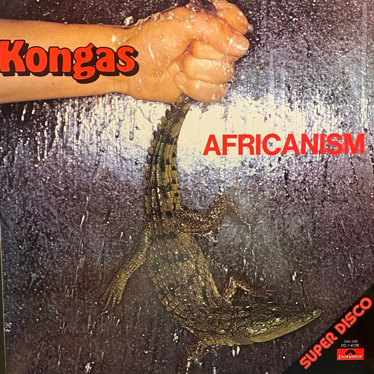 Kongas – Africanism