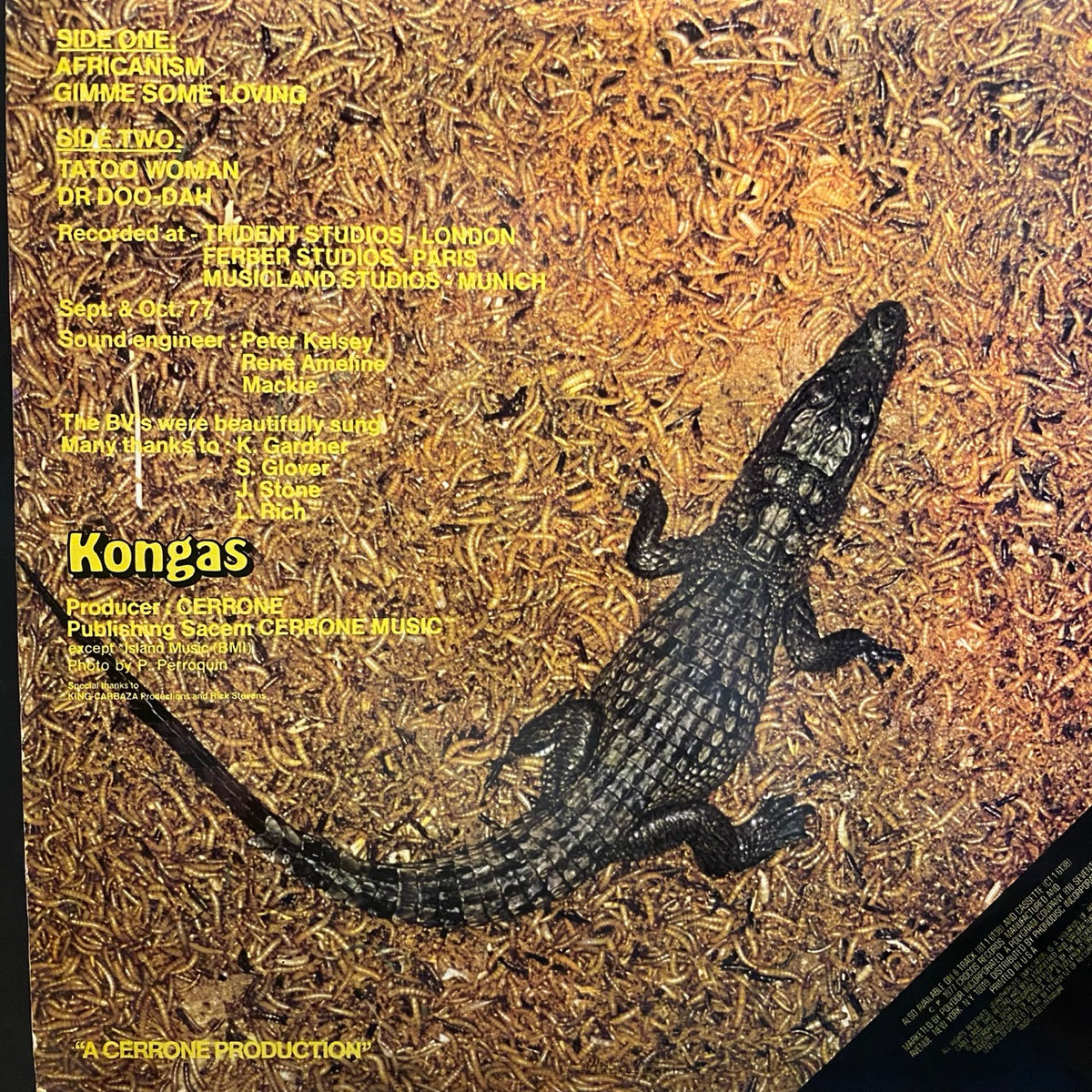 Kongas – Africanism