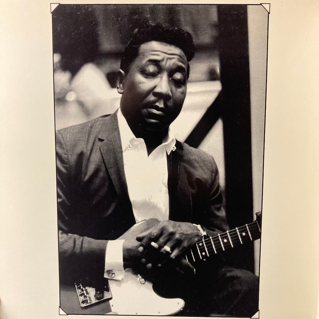 Muddy Waters - Folk Singer