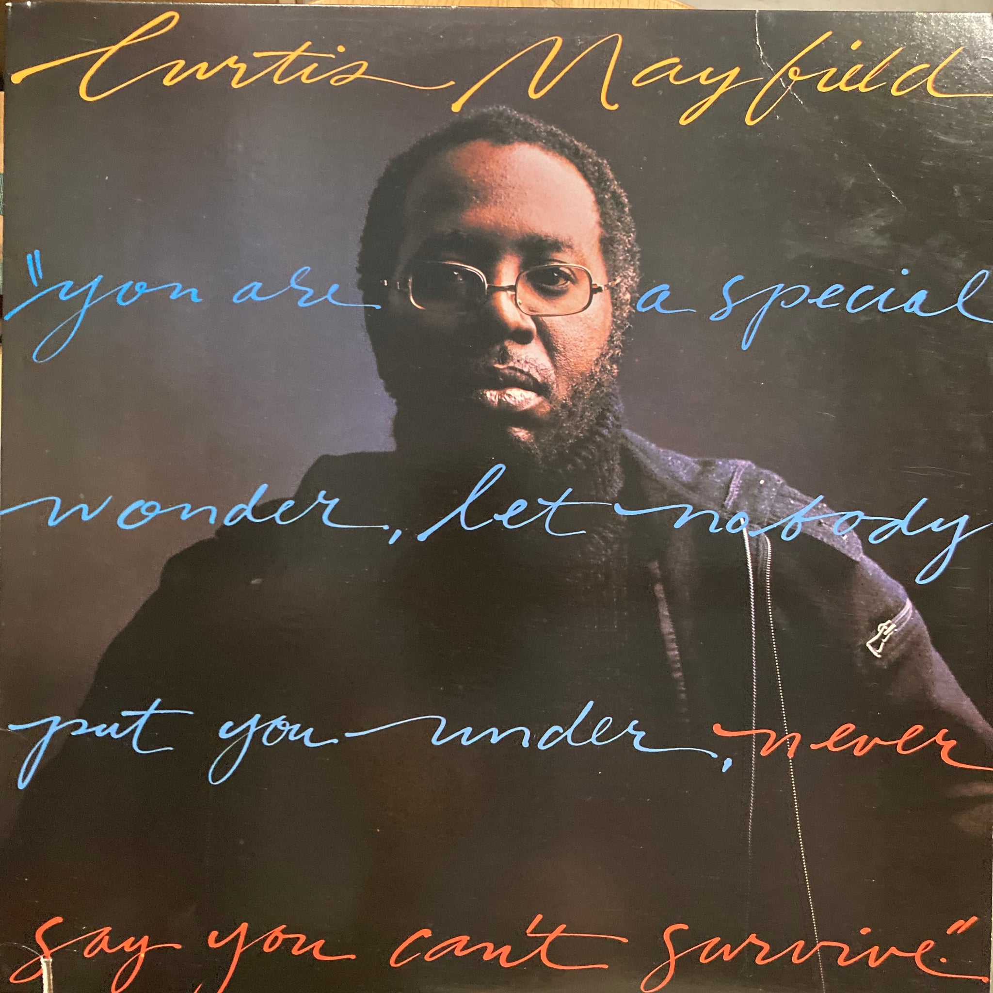 Curtis Mayfield - Never Say You Cant Survive