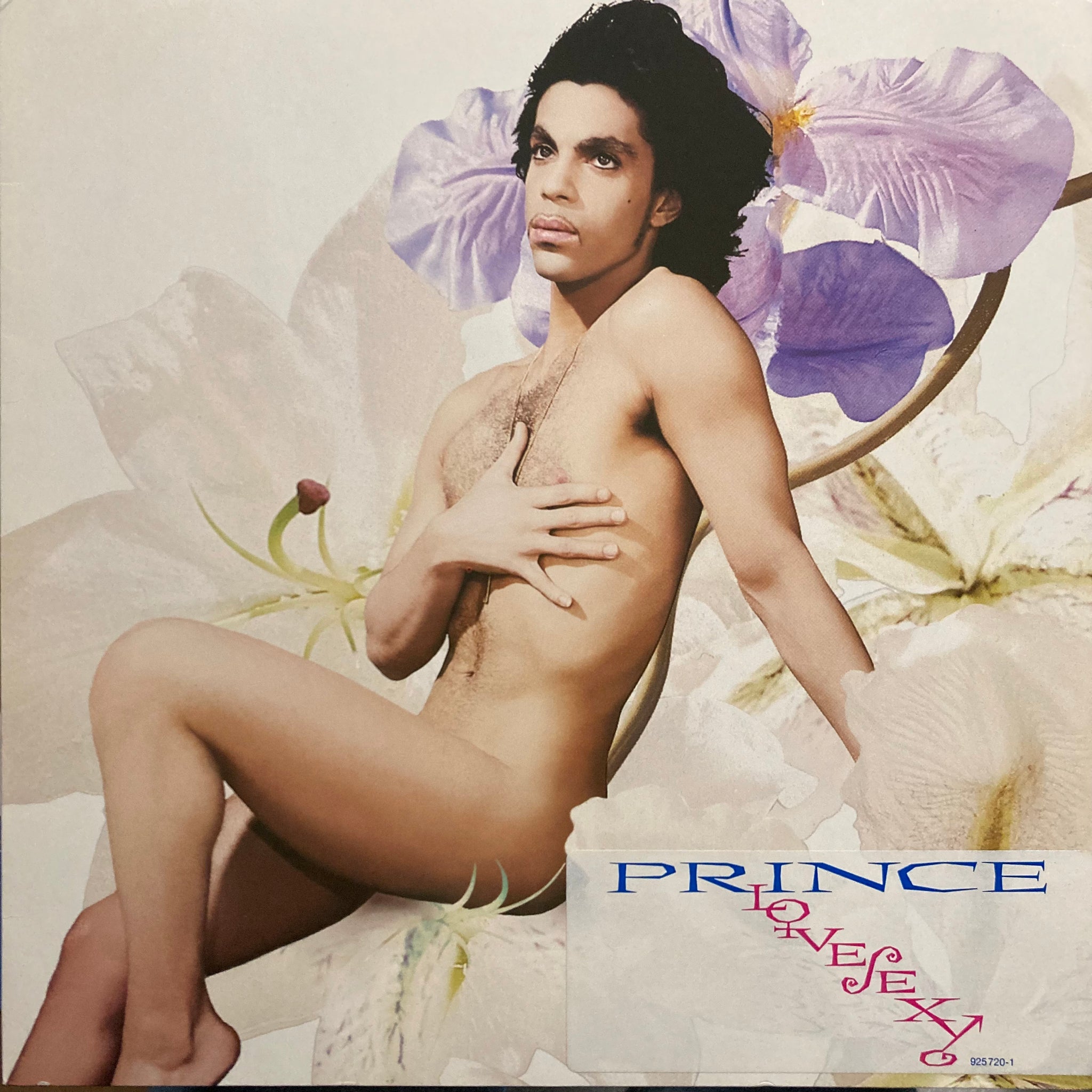 Prince - Love Sexy