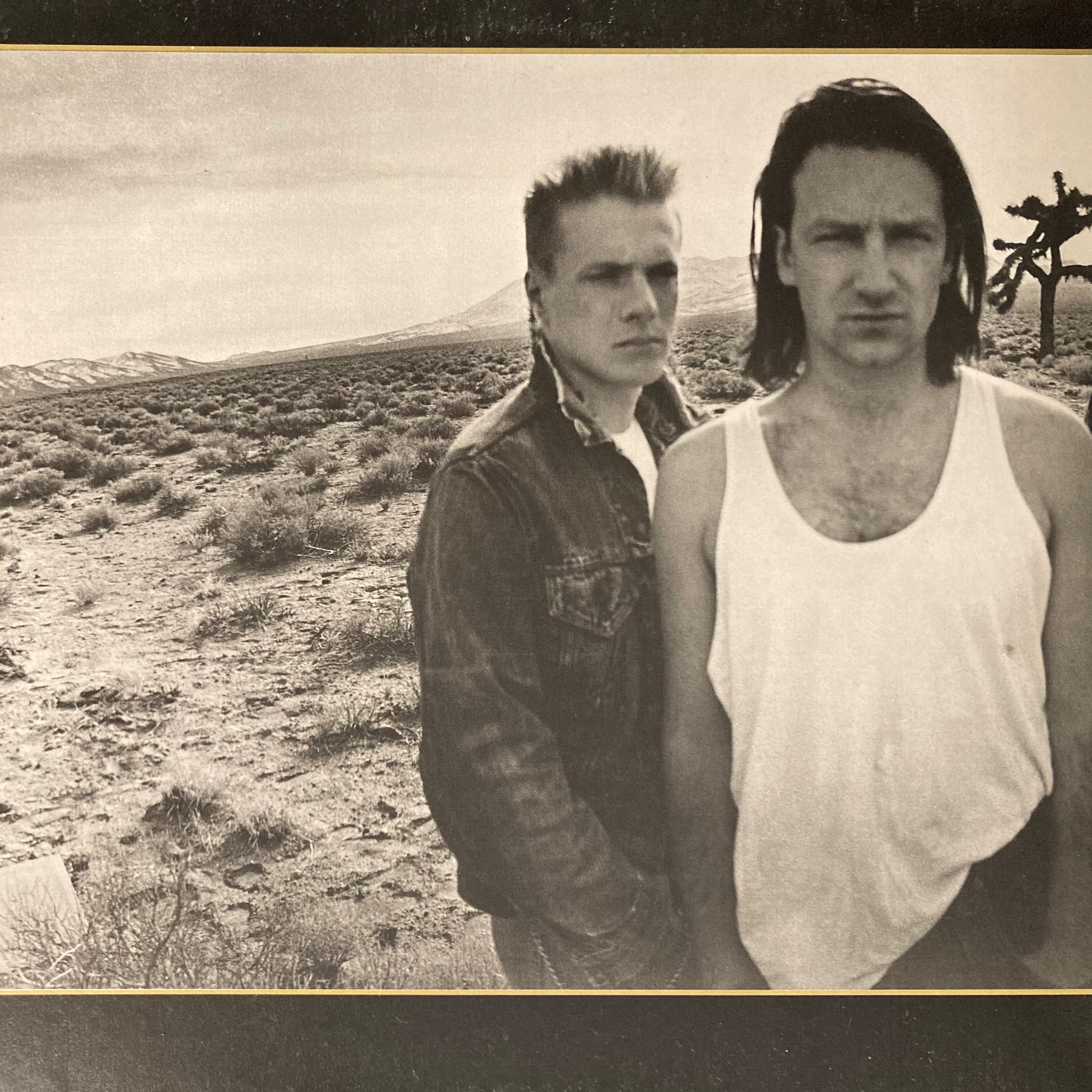 U2 - The Joshua Tree