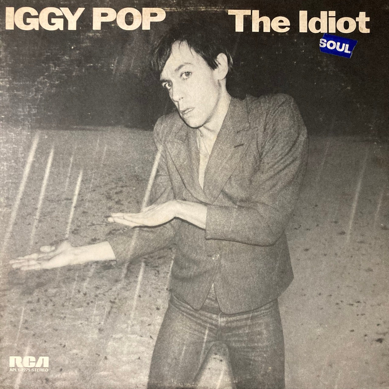 Iggy Pop - The Idiot