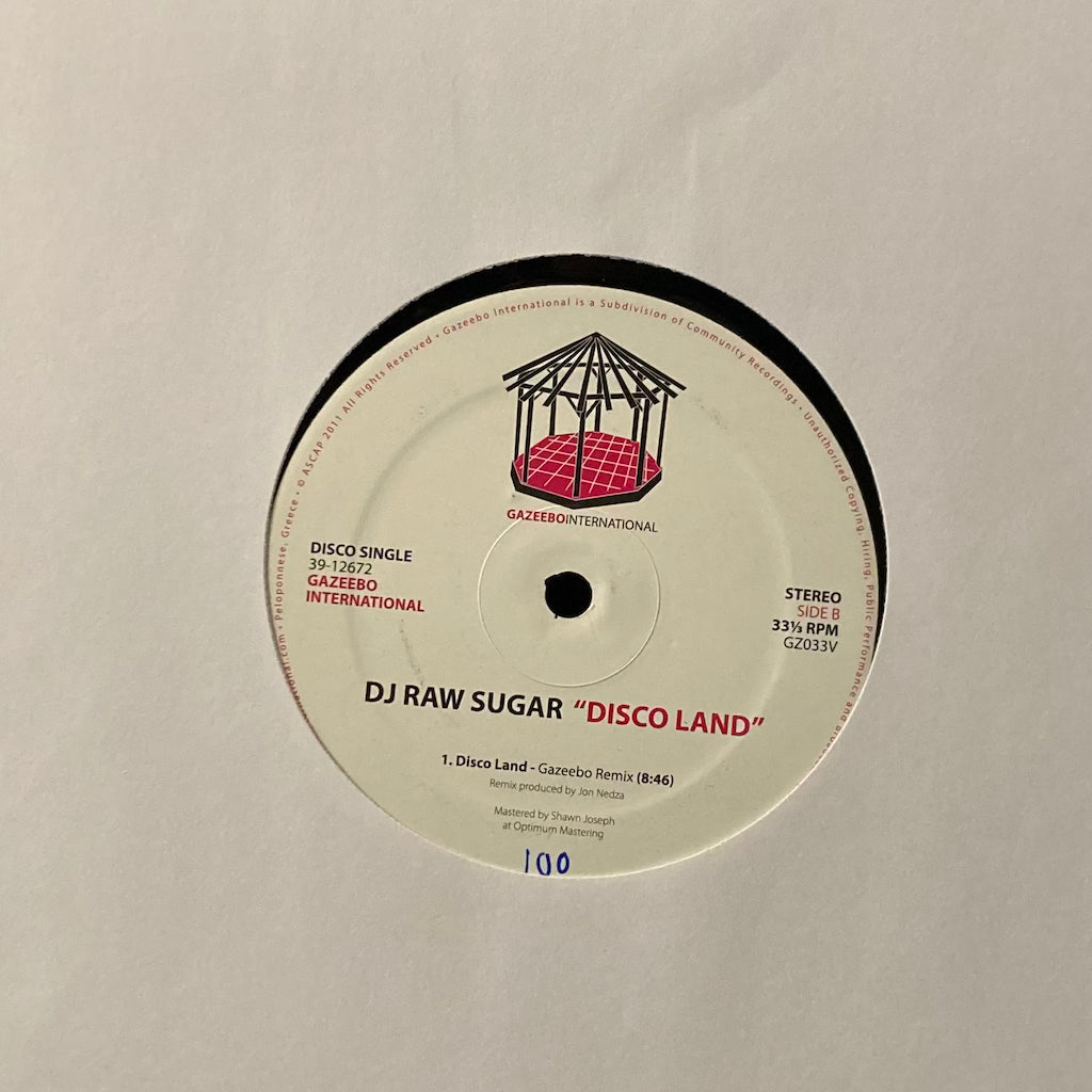 DJ Raw Sugar - Disco Land [12"]