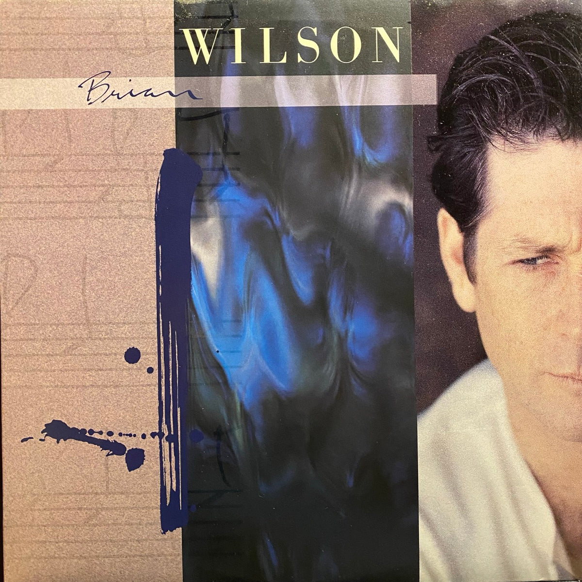 Brian Wilson – Brian Wilson