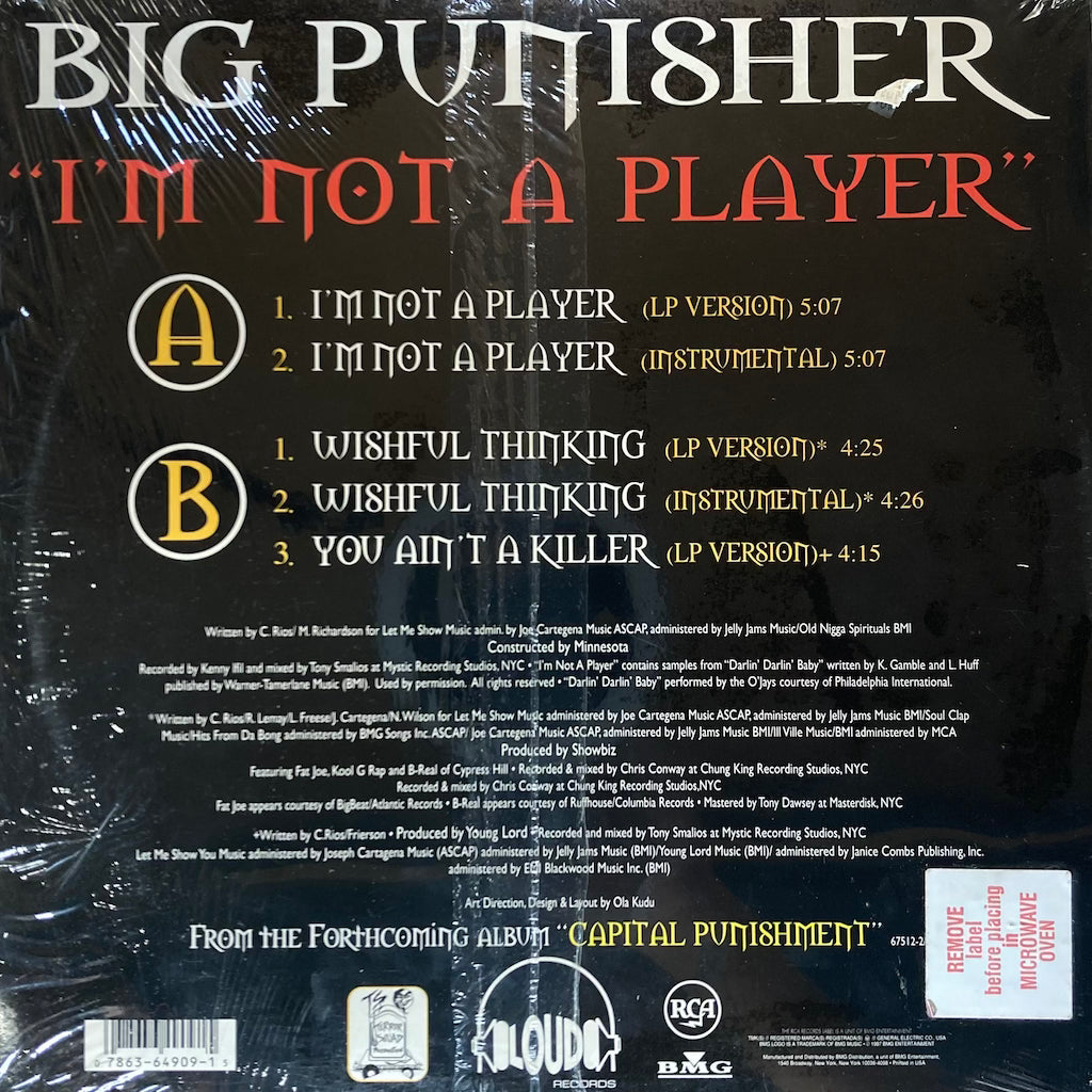 Big Pun - Im not A Player