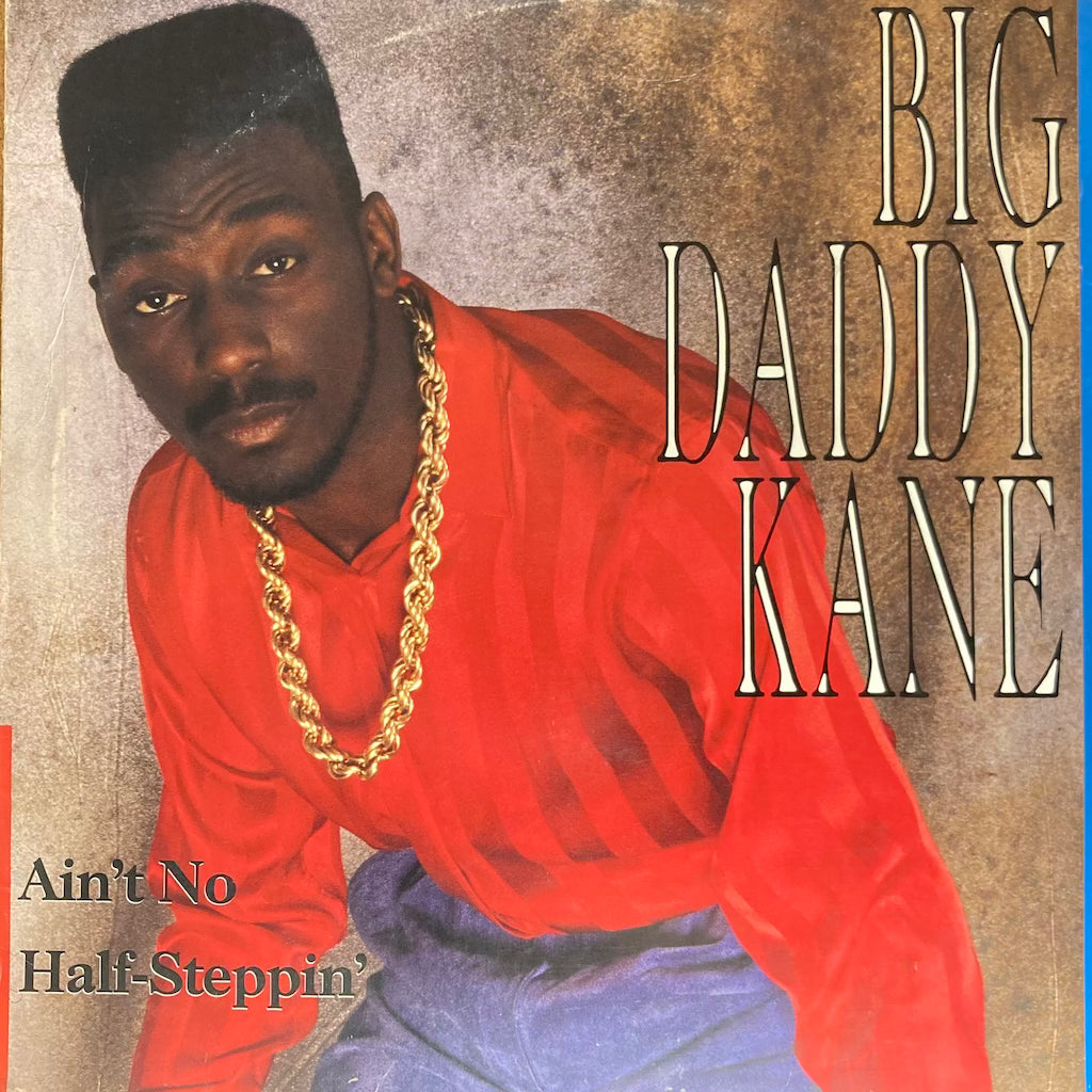 Big Daddy Kane - Ain't No Half Steppin'