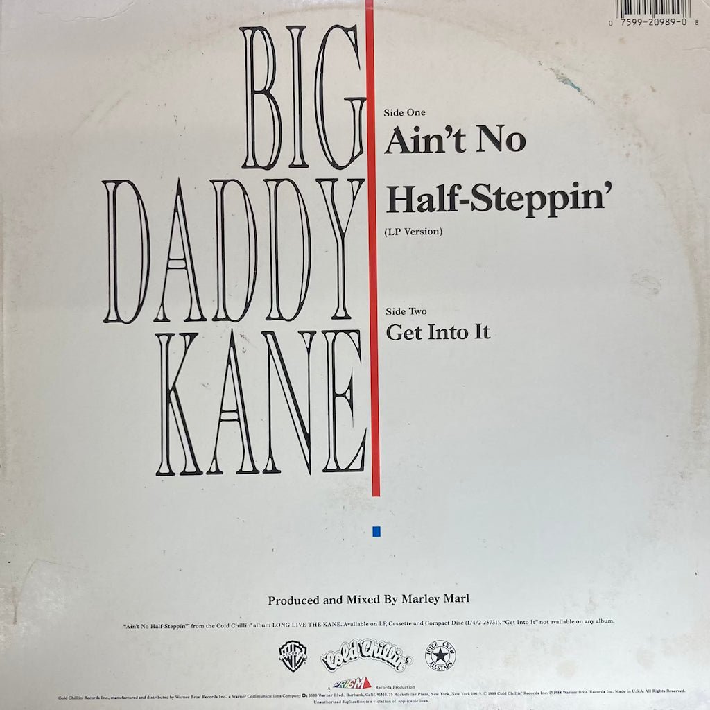 Big Daddy Kane - Ain't No Half Steppin'
