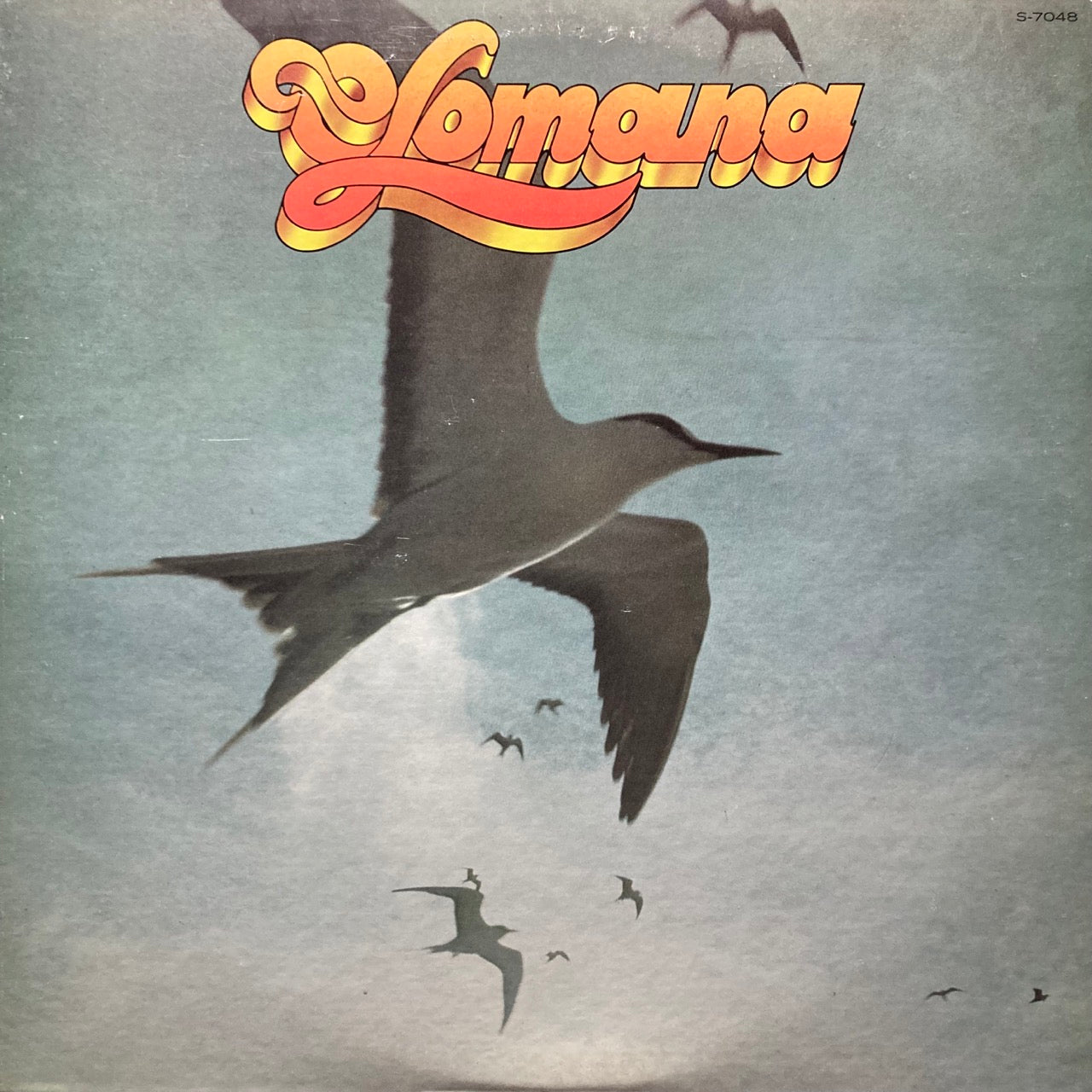Olomana - Like A Seabird In The Wind