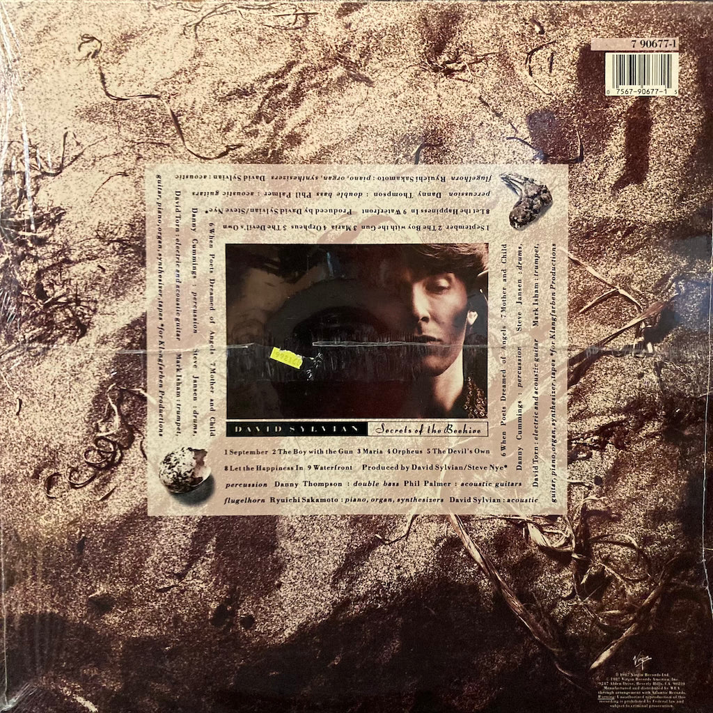 David Sylvian - Secrets Of The Beehive