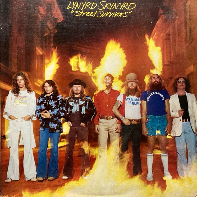 Lynyrd Skynyrd - Sweet Survivors