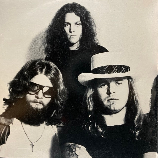 Lynyrd Skynyrd - Sweet Survivors