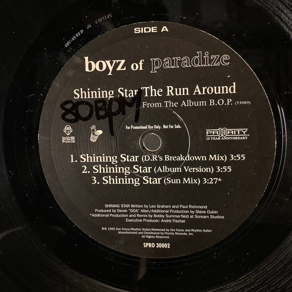 Boyz Of Paradise - Shinning Star/The Run Around [12']