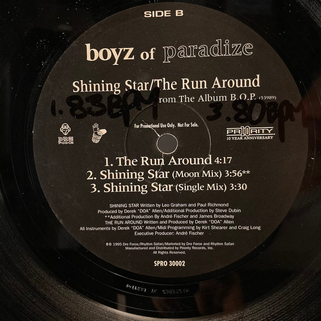 Boyz Of Paradise - Shinning Star/The Run Around [12']