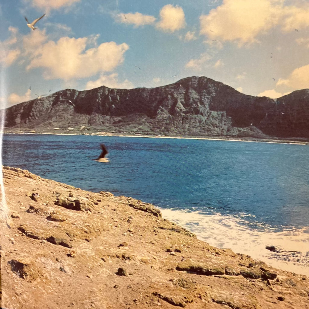 Gabby Pahinui - Rabbit Island Music Festival