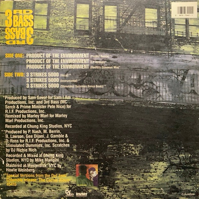 3rd Bass - Product of The Environment
