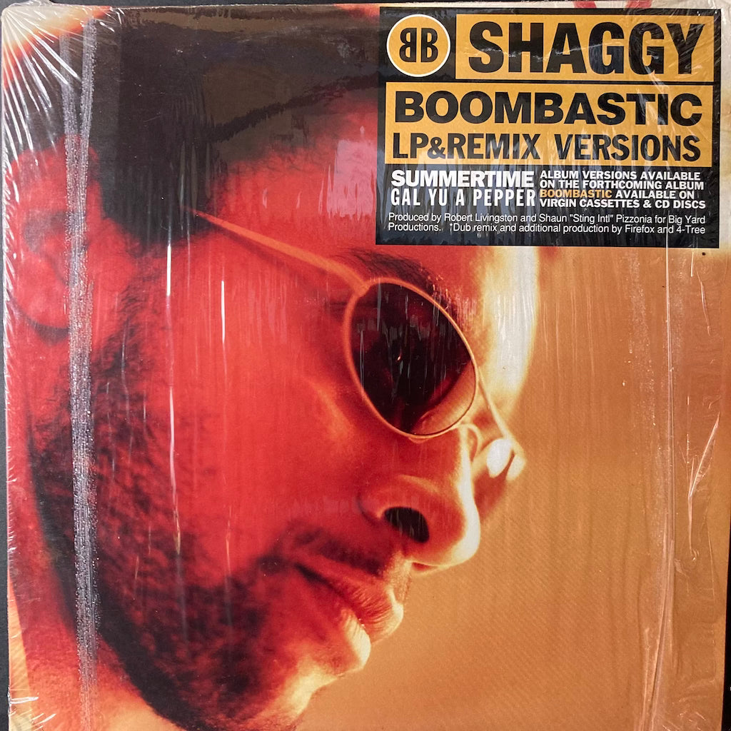 Shaggy - Boombastic [12"]