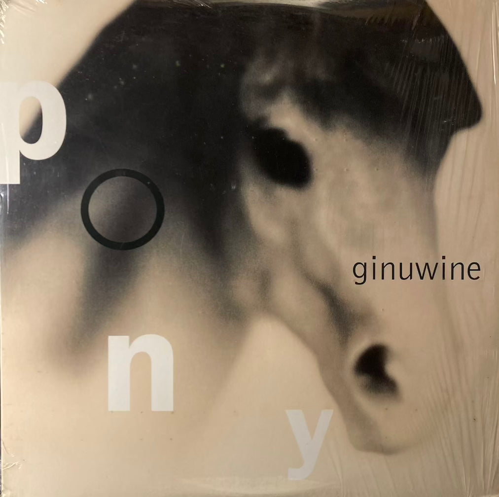 Ginuwine – Pony