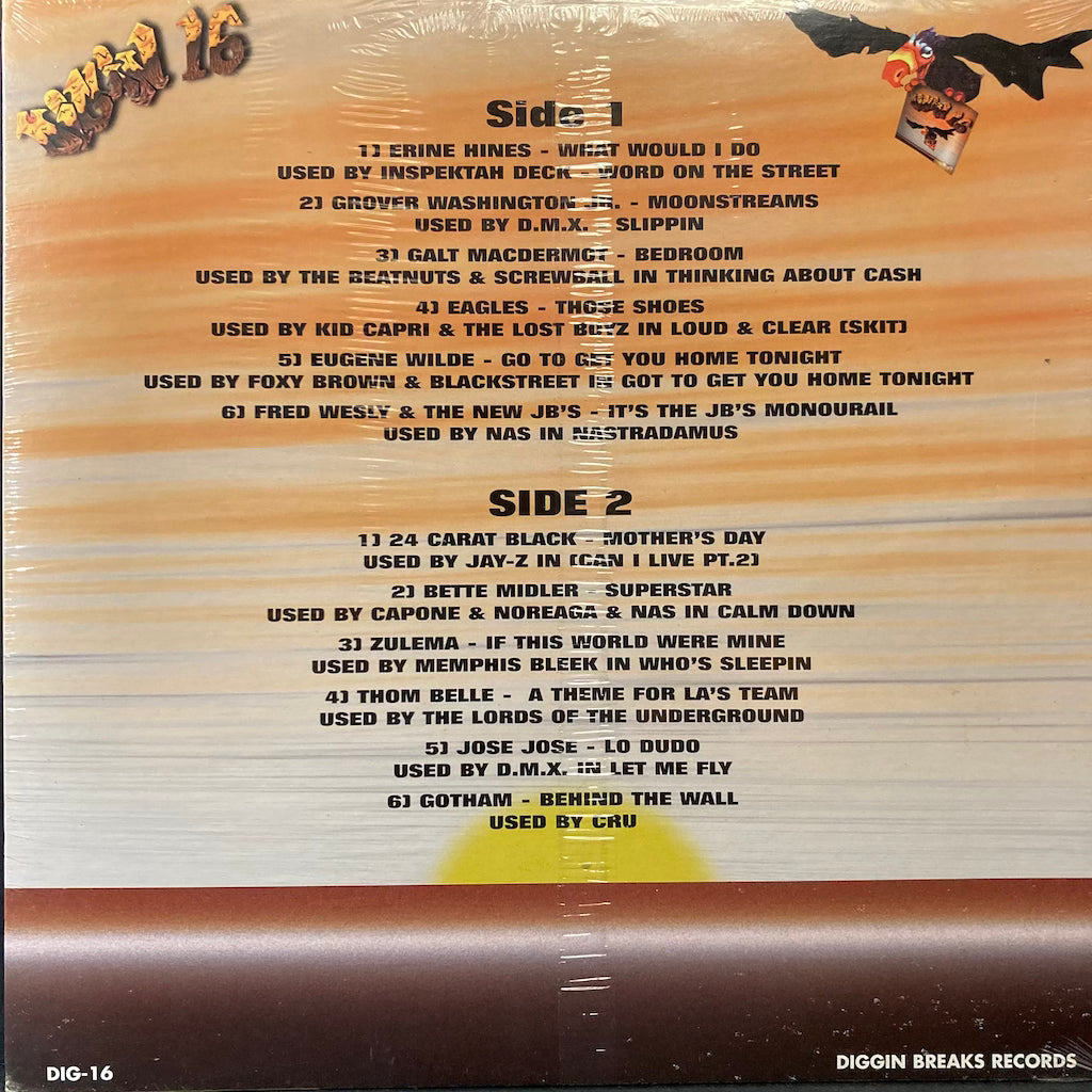 V/A - Digin Vol 16 [SEALED]