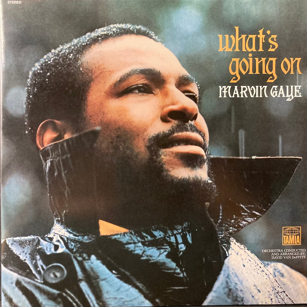 Marvin Gaye - What's Going On