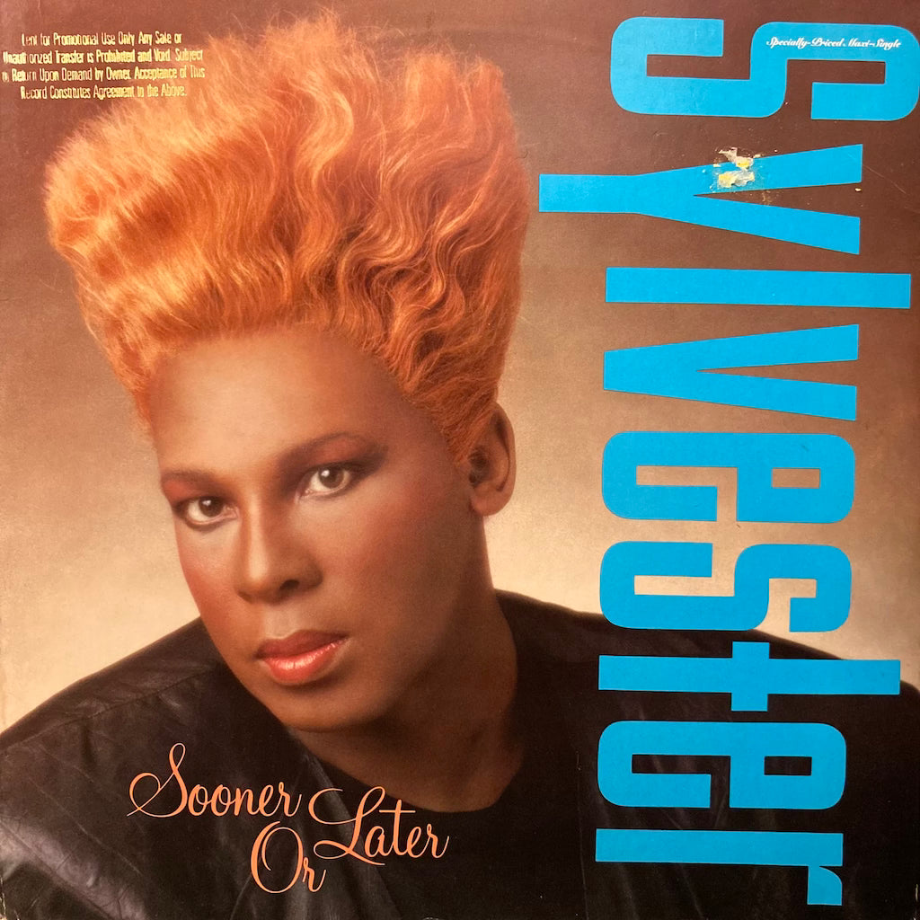 Sylvester - Sooner or Later