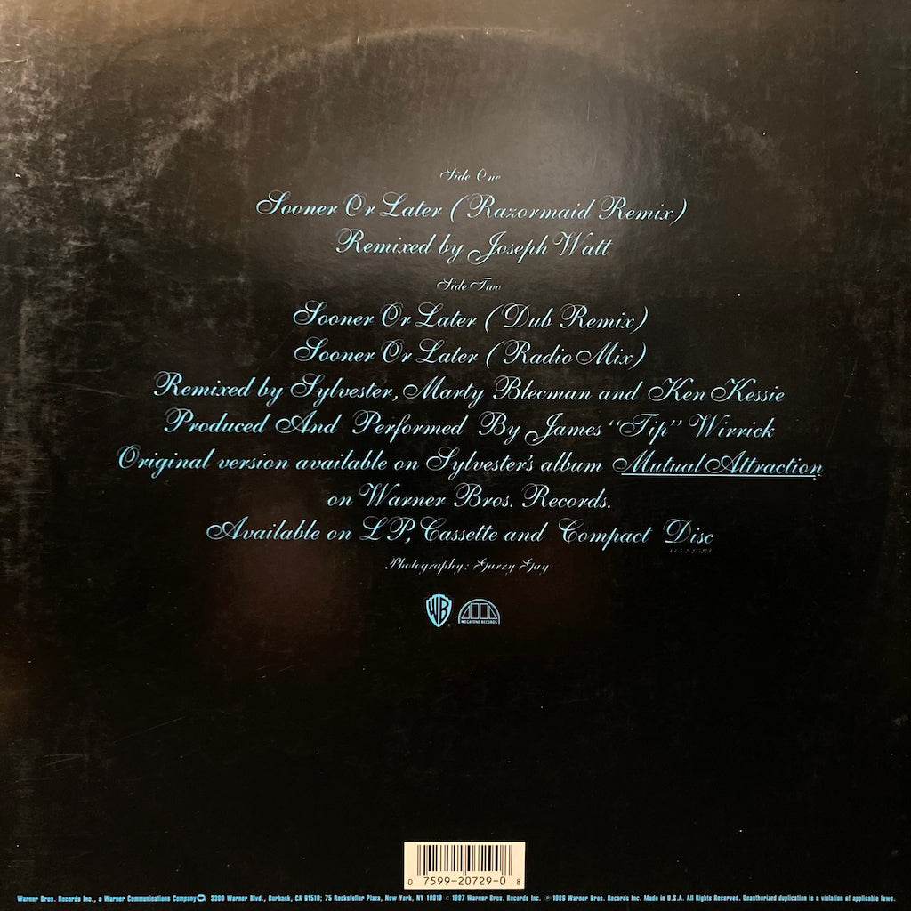 Sylvester - Sooner or Later