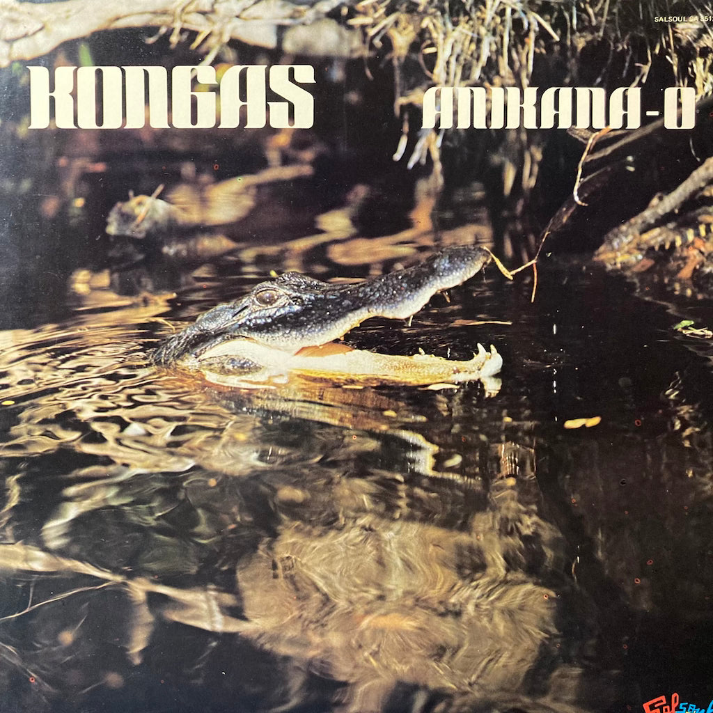 Kongas - Anikana-O
