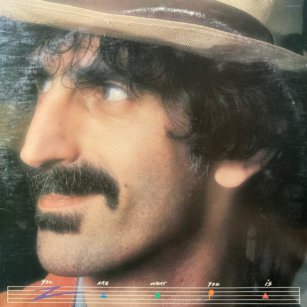 Frank Zappa - You Are What You Is