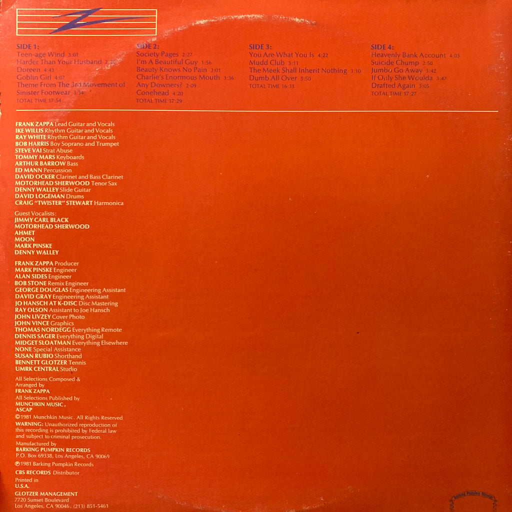 Frank Zappa - You Are What You Is