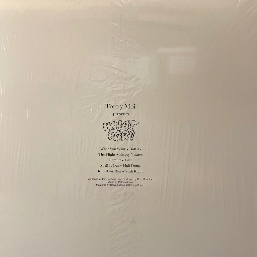 Toro y Moi - What For?