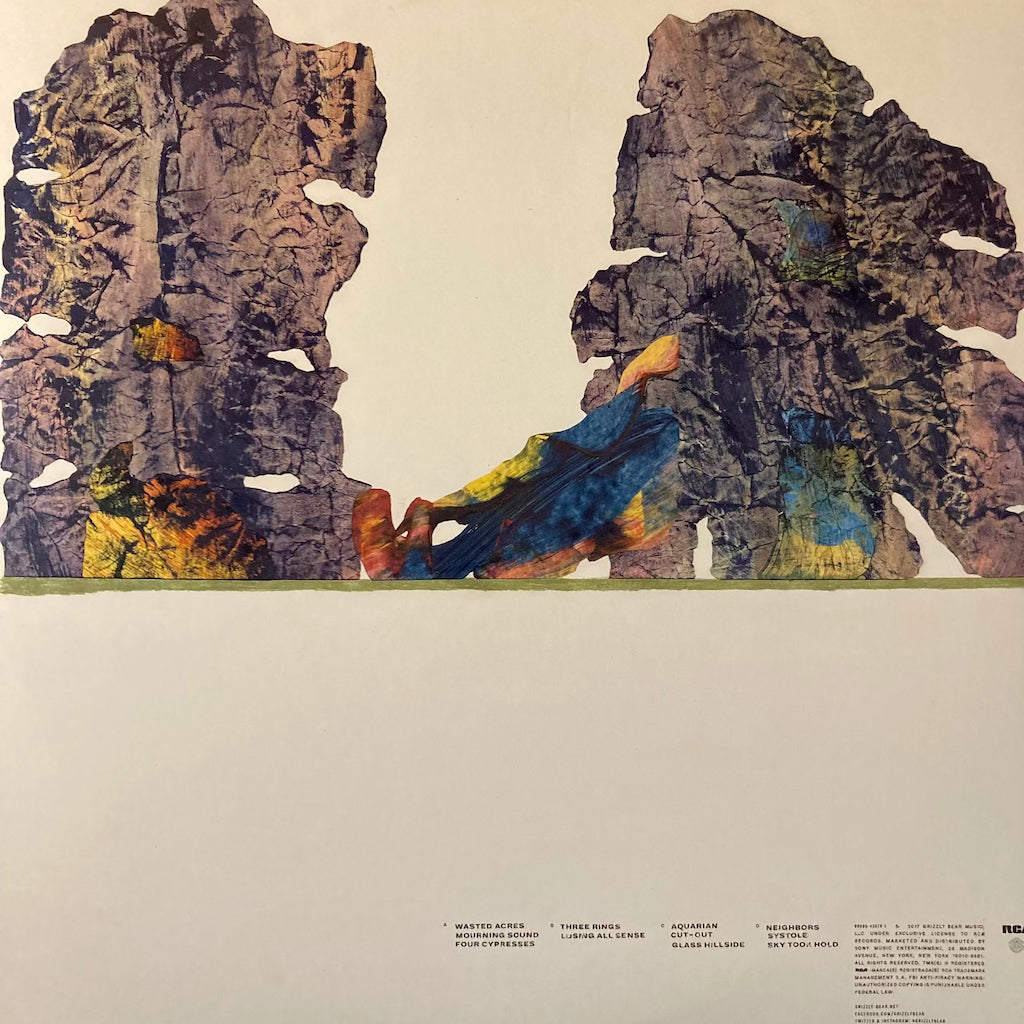 Grizzly Bear - Painted Ruins [Double LP]