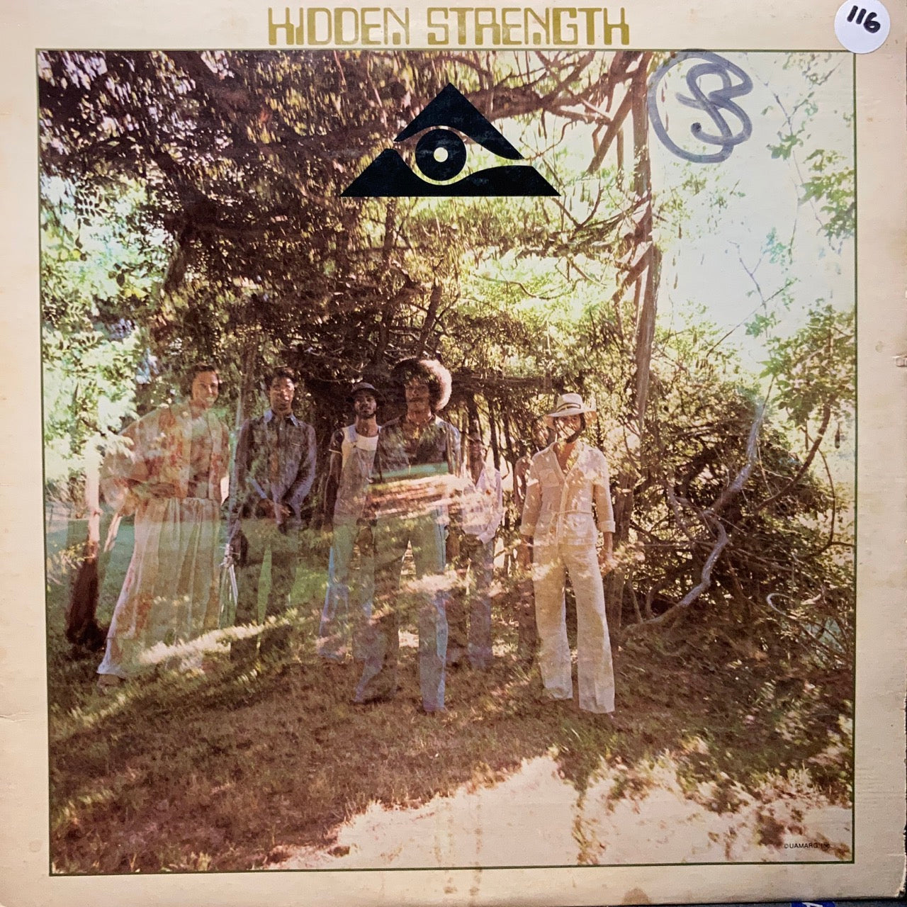 Hidden Strength - Hidden Strength