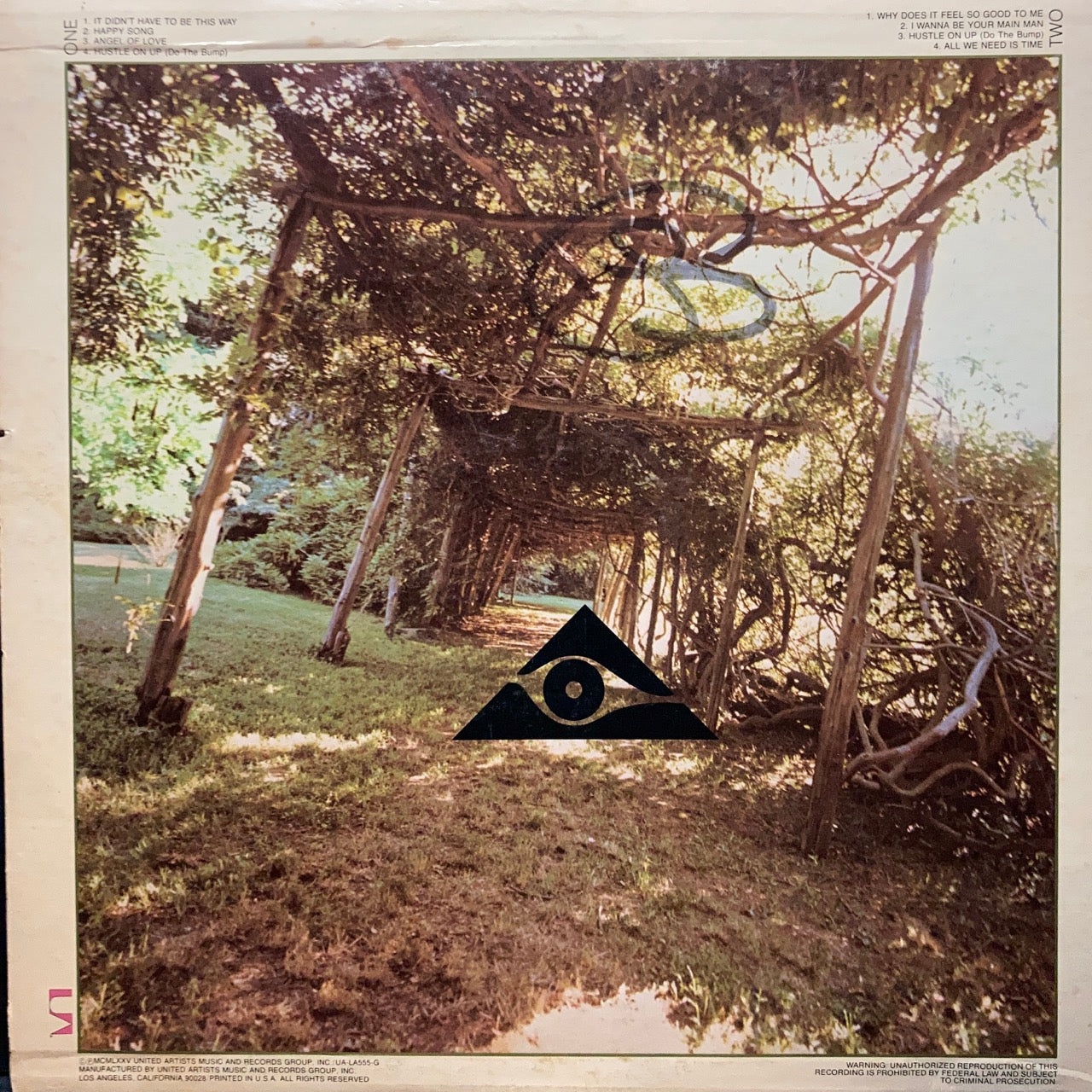 Hidden Strength - Hidden Strength
