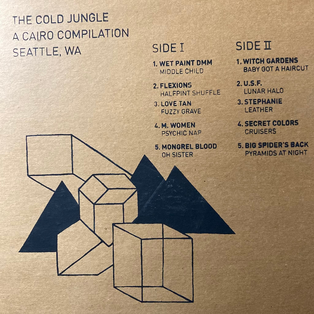 V/A - The Cold Jungle, A Cairo Compilation