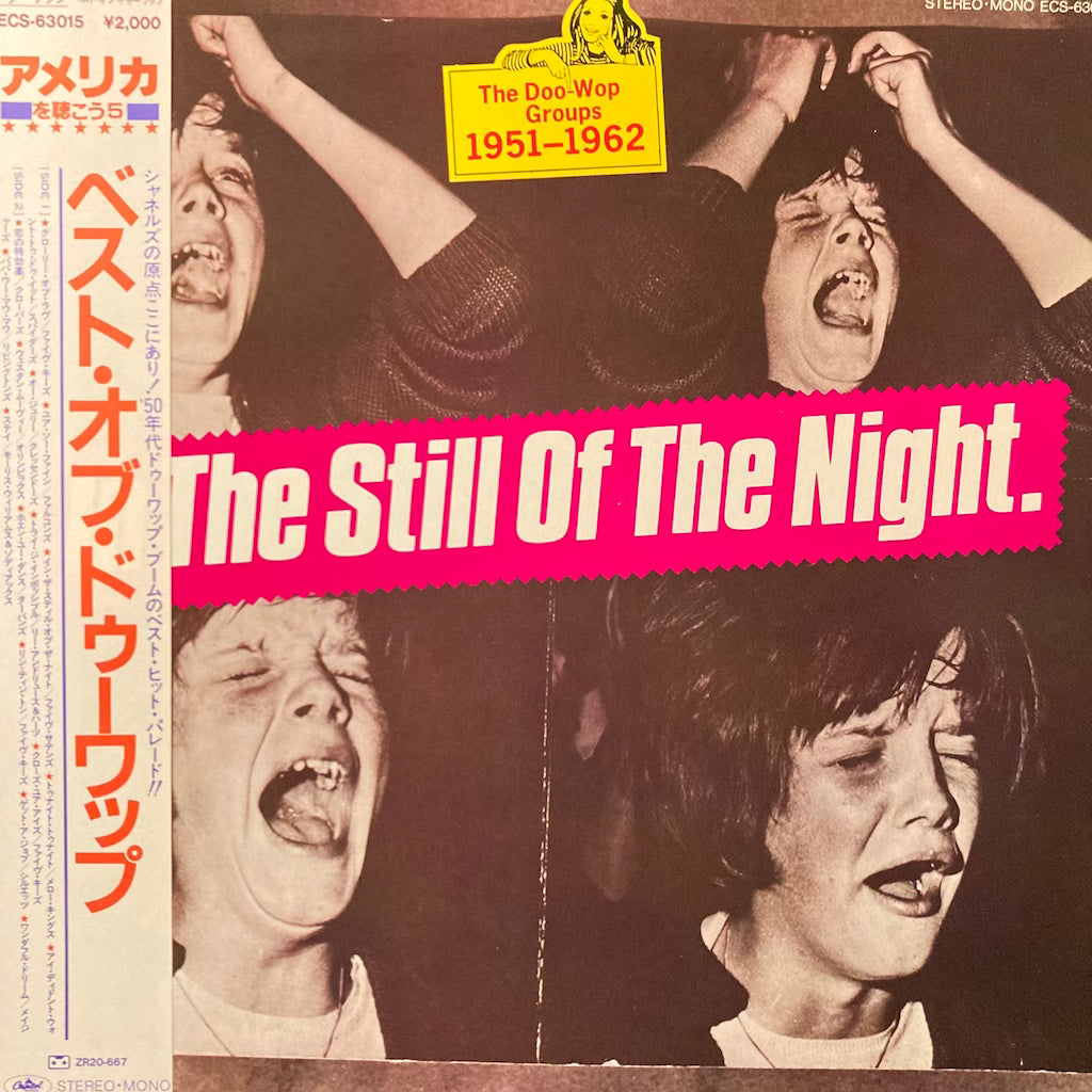 V/A - In The Still Of The Night (The Doo-Wop Groups 1951-1962) [Unplayed]