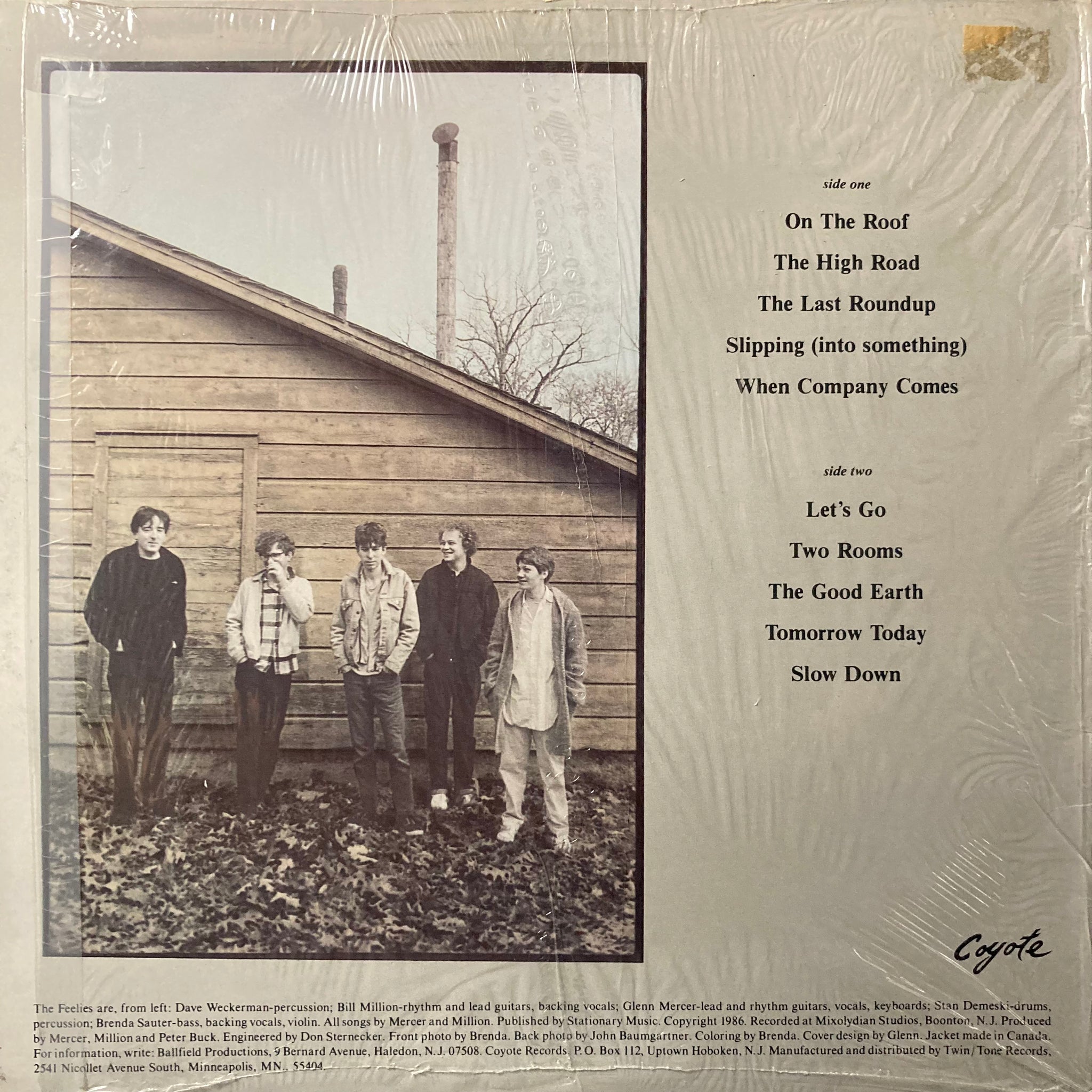 The Feelies - The Good Earth