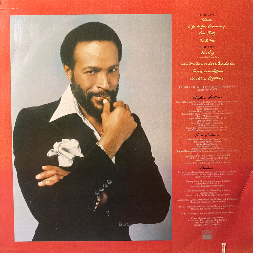 Marvin Gaye - In One Lifetime