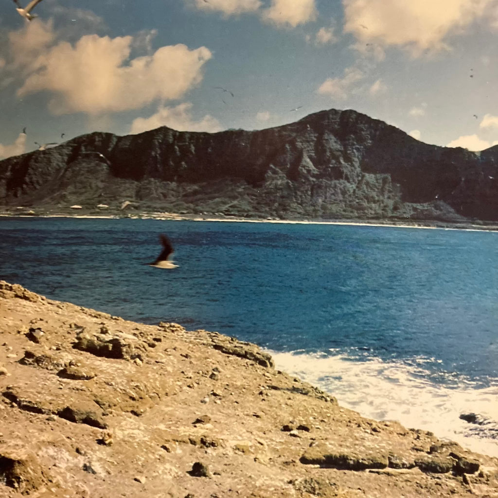 Gabby Pahinui - Rabbit Island Music Festival