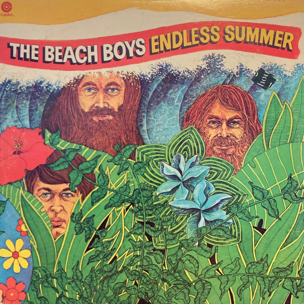 The Beach Boys - Endless Summer