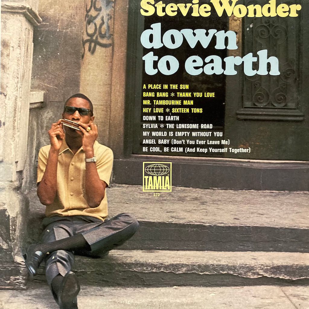 Stevie Wonder - Down To Earth