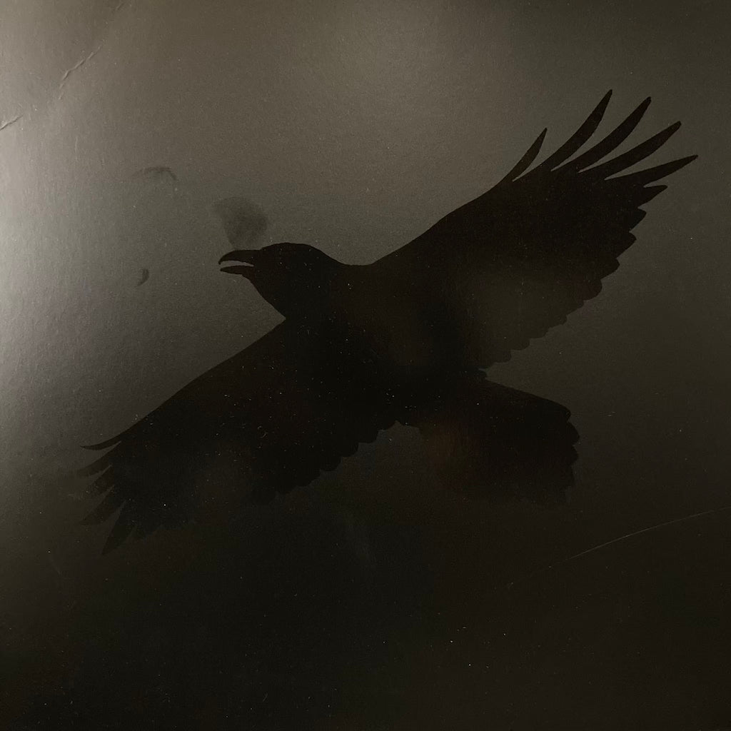 Sigur Ros With Steindor Andersen, Hilmar Orn Hilmarsson And Maria Huld Markan Sigfusdottir – Odin's Raven Magic