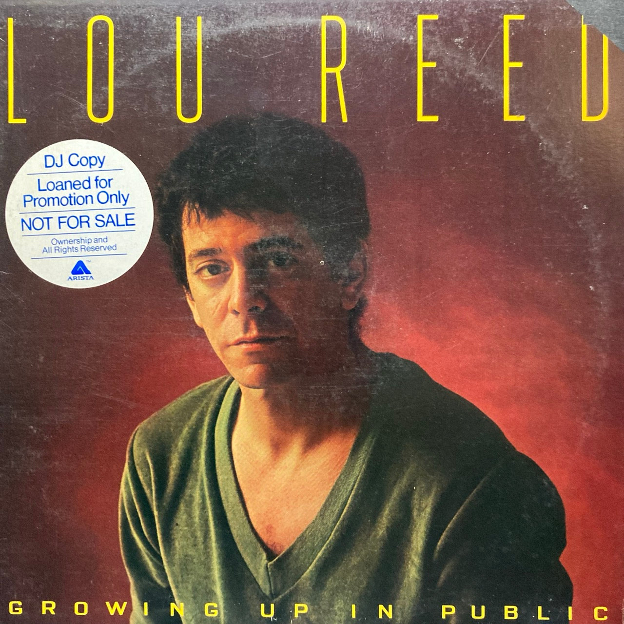 Lou Reed - Growing Up In Public