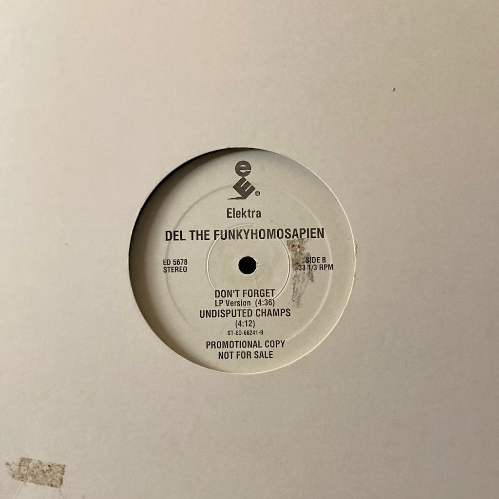 Del The Funkyhomosapien - Wrong Place/Don't Forget/Undisputed Champs 12"