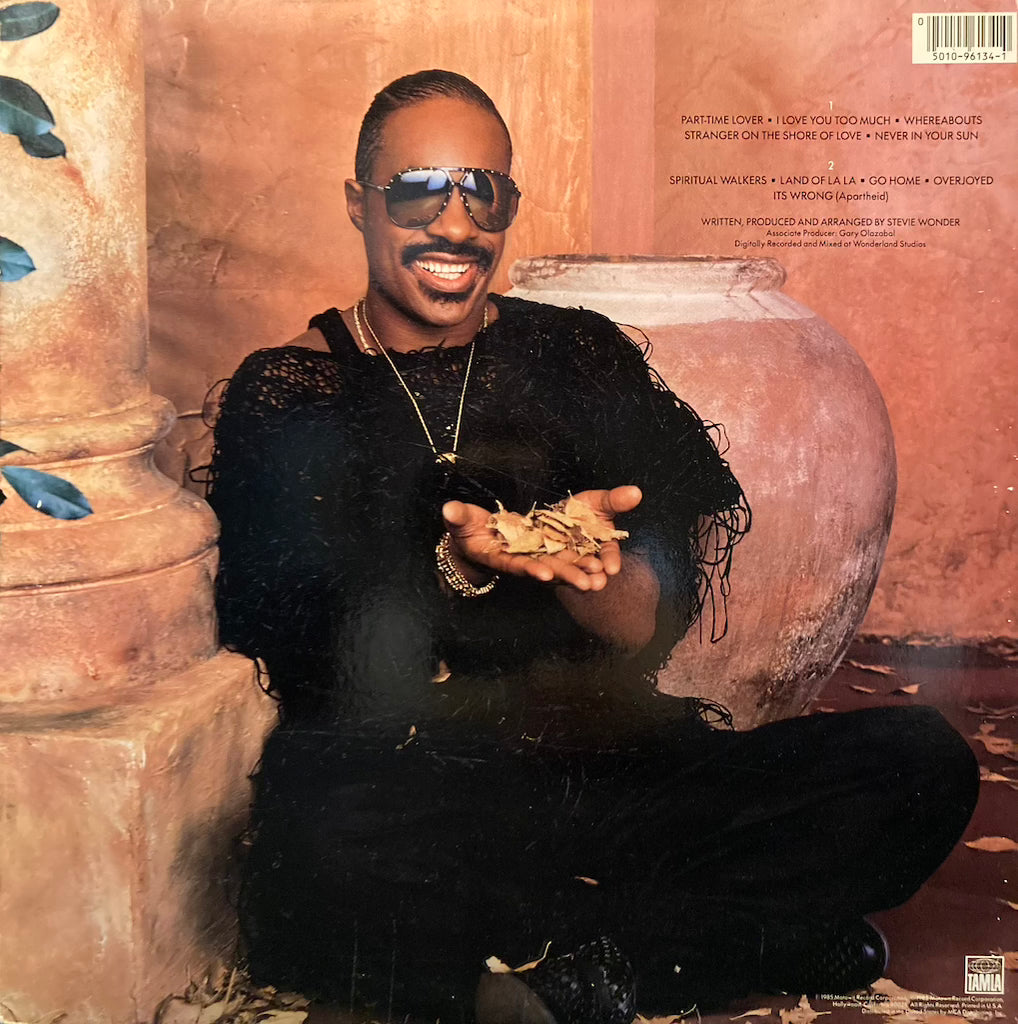 Stevie Wonder - In Square Circle