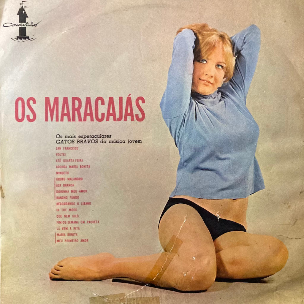 Os Maracajas - Gatos Bravos